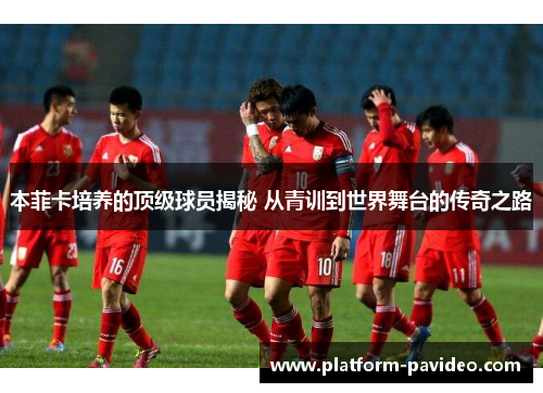 本菲卡培养的顶级球员揭秘 从青训到世界舞台的传奇之路