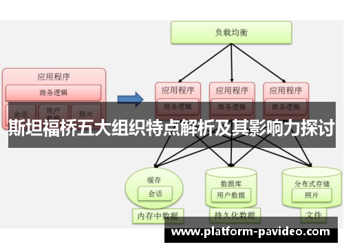 斯坦福桥五大组织特点解析及其影响力探讨