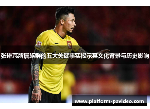 张琳芃所属族群的五大关键事实揭示其文化背景与历史影响