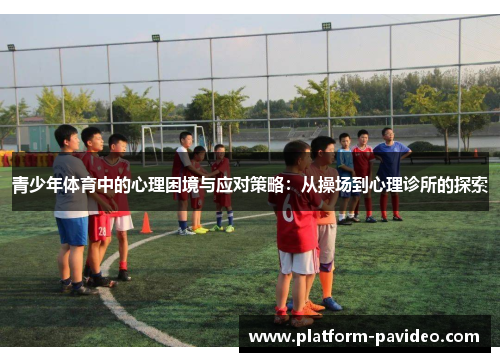 青少年体育中的心理困境与应对策略：从操场到心理诊所的探索