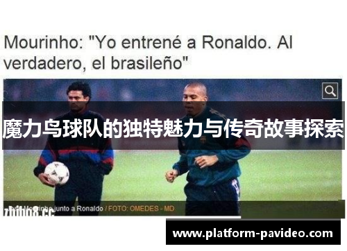 魔力鸟球队的独特魅力与传奇故事探索