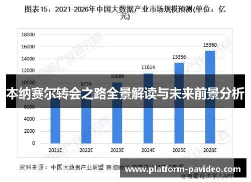 本纳赛尔转会之路全景解读与未来前景分析 本纳赛尔转会之路全景解读与未来前景分析