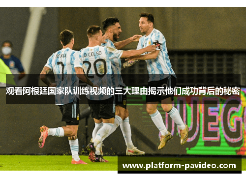 观看阿根廷国家队训练视频的三大理由揭示他们成功背后的秘密