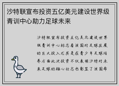 沙特联宣布投资五亿美元建设世界级青训中心助力足球未来